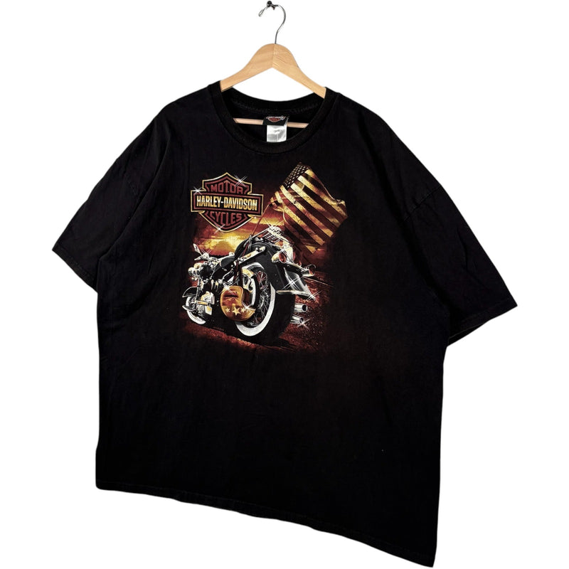 Vintage Harley Davidson Stauton Virgina Tee