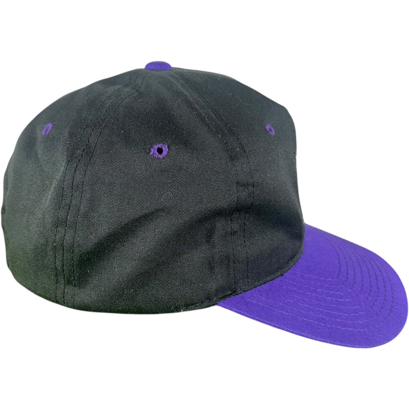 Vintage Sacramento Kings NBA Snapback Hat