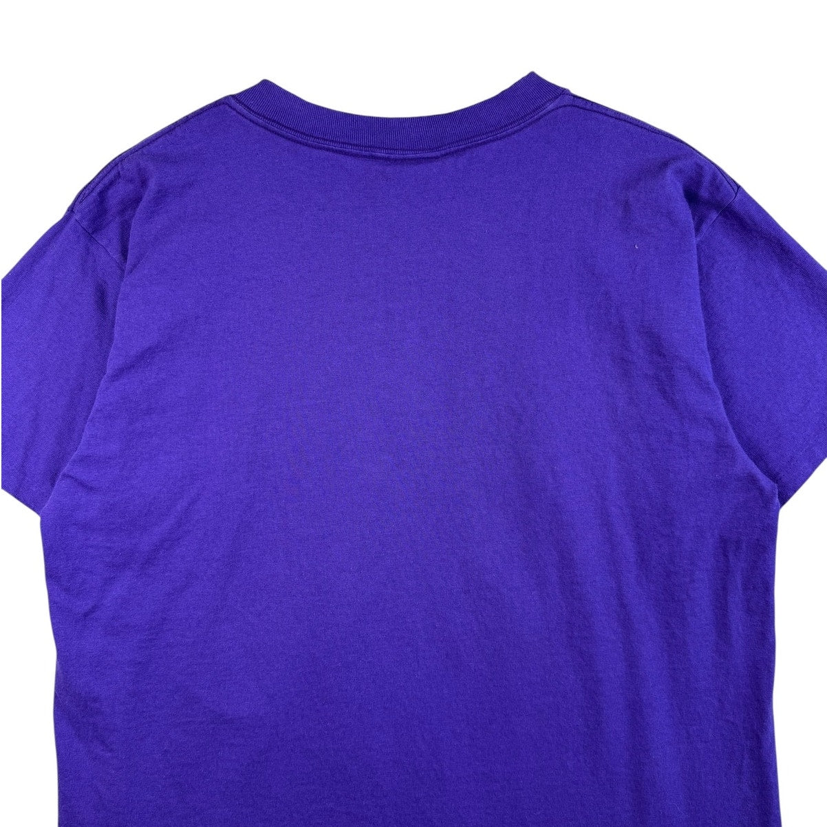 Vintage Charlotte Hornets NBA T-Shirt