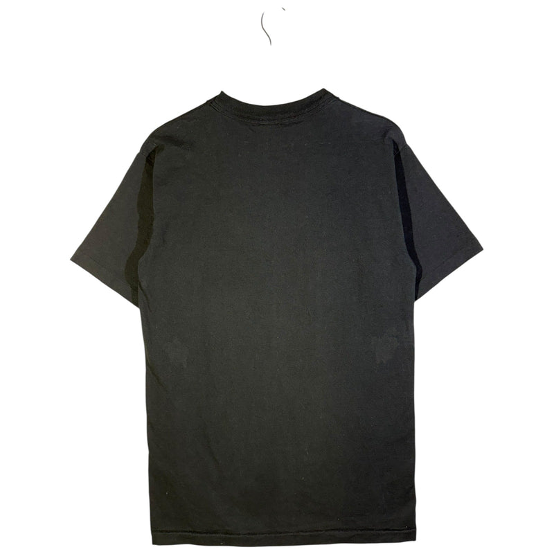 Vintage Salem NFL Steelers Champs T-Shirt