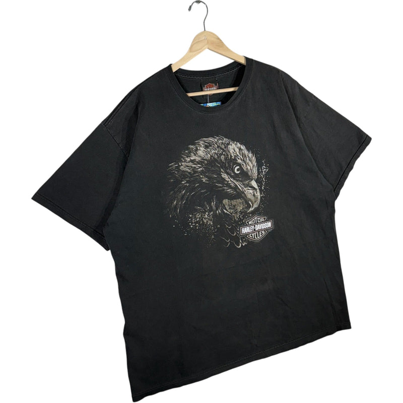 Vintage Harley Davidson O'Toole's Wurtsboro, NY Eagle Tee