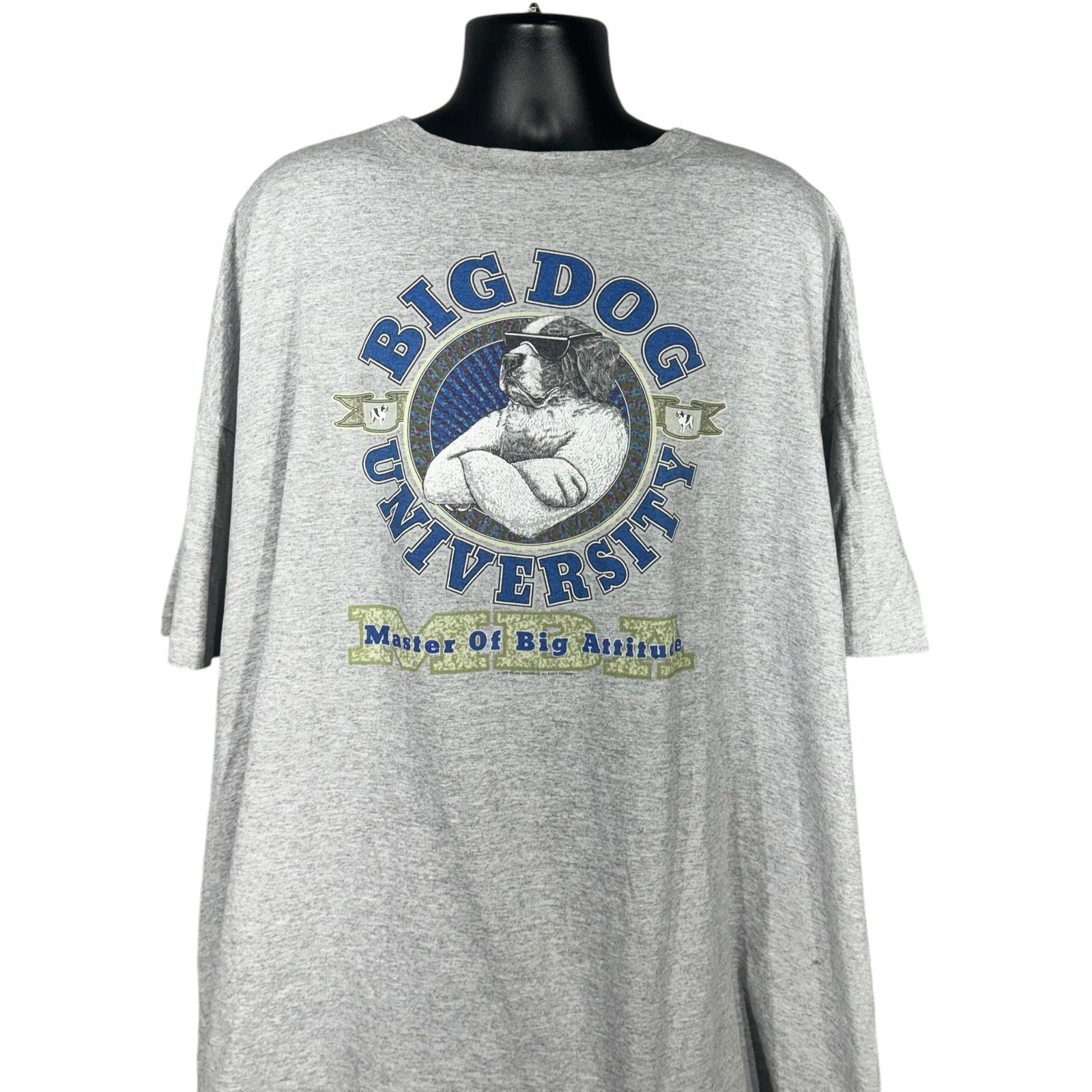 Vintage Big Dog University Tee