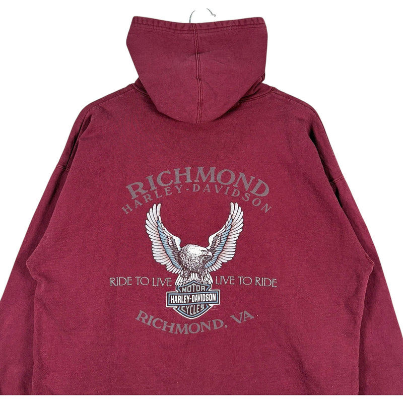 Vintage Harley Davidson Richmond, VA Flames Spellout Hoodie