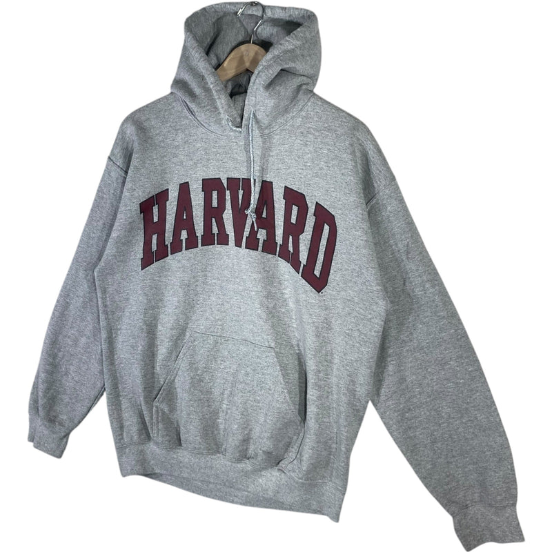 Vintage Harvard Chest Spellout Hoodie