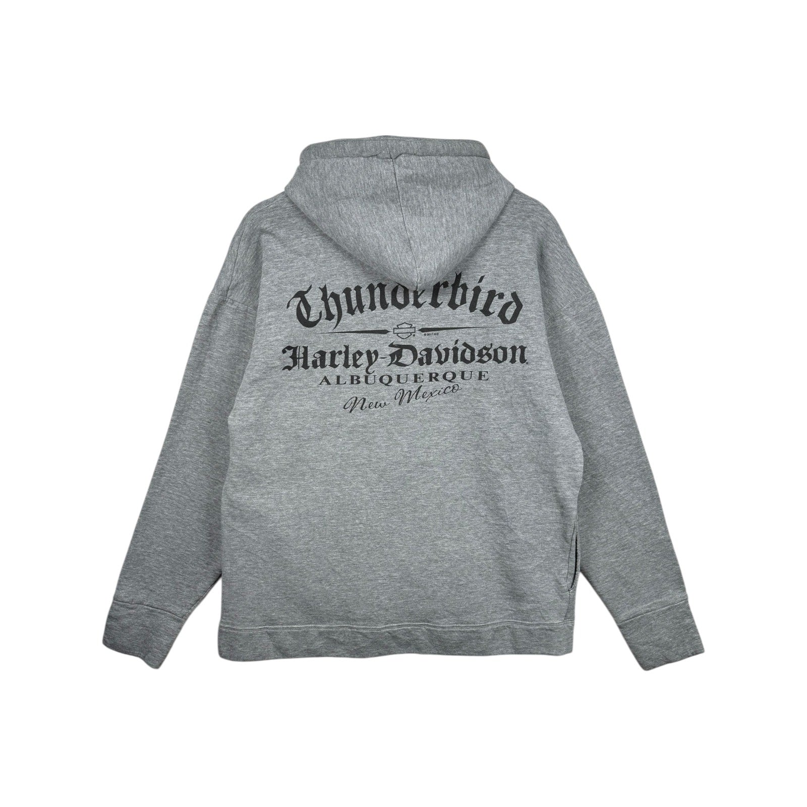 Vintage Harley Davidson Logo Thunderbird Hoodie