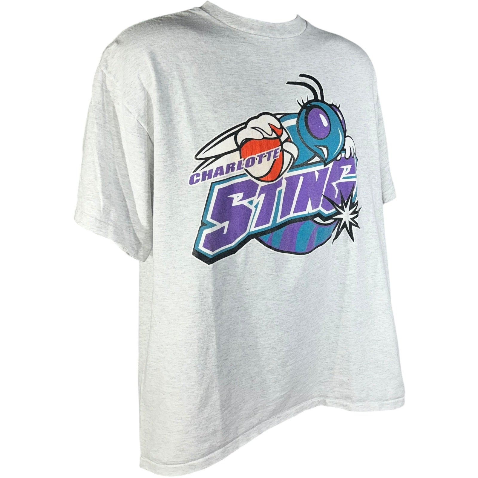 Vintage Charlotte Sting WNBA Tee