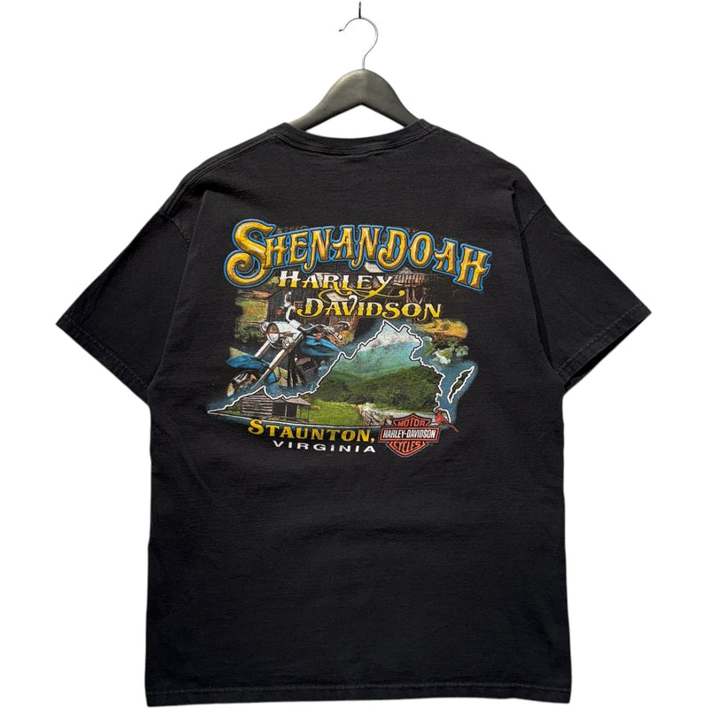 Vintage Harley Davidson "It's Why We Ride" Staunton, VA Tee