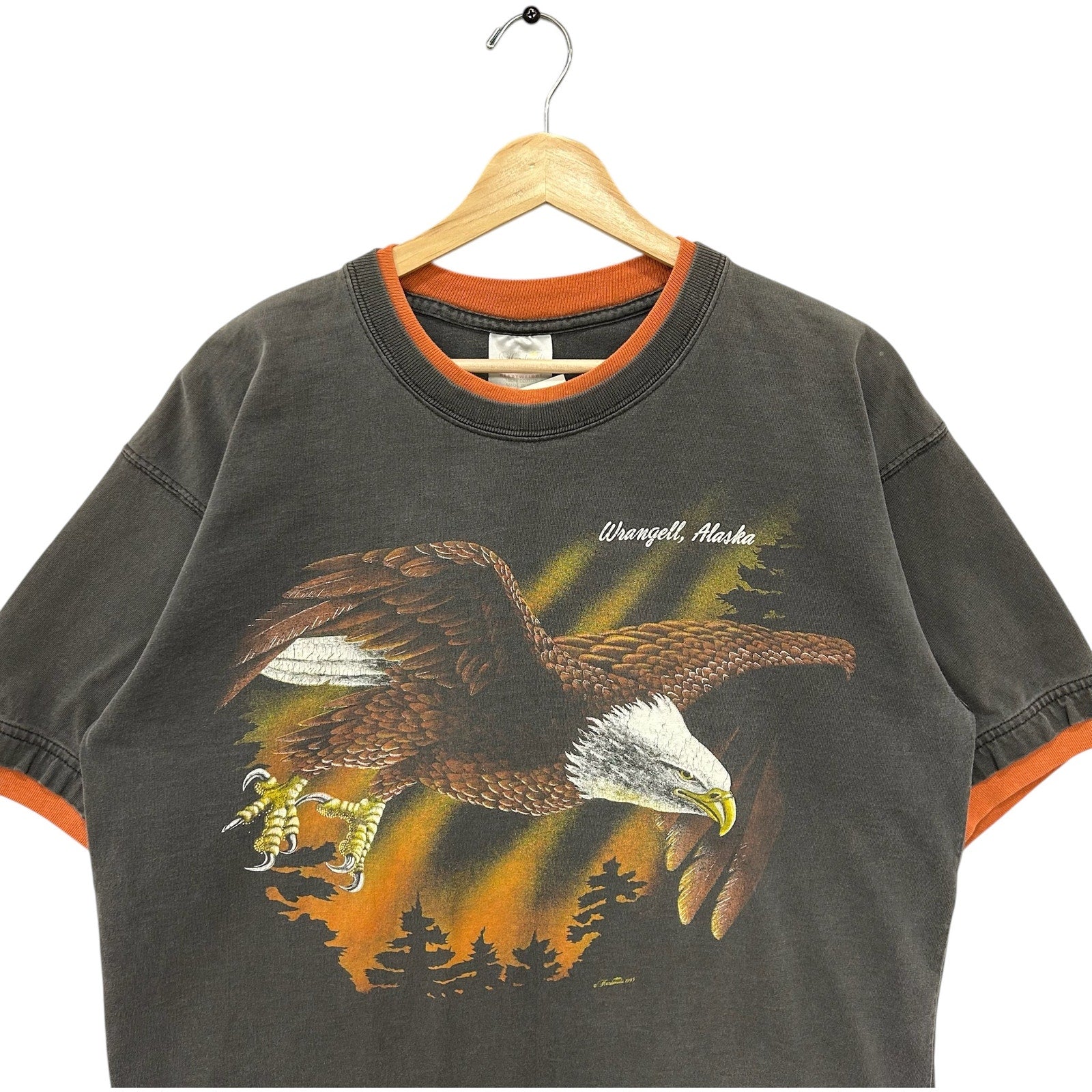 Vintage Wrangell Alaska Bald Eagle Nature Souvenir Tee