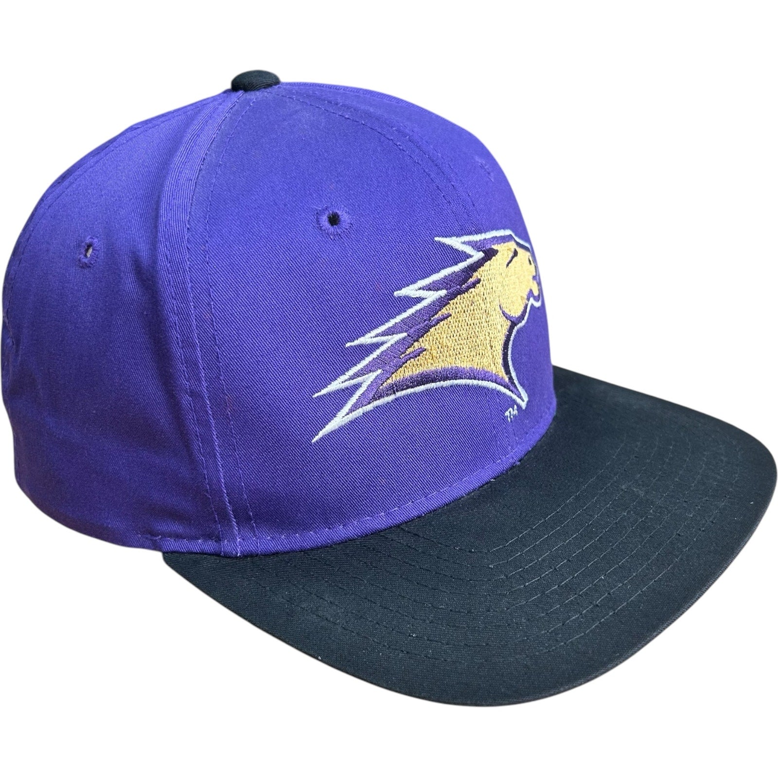 Vintage Starter St. Louis Stallions Logo NFL Snapback Hat