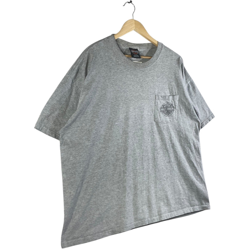 Vintage Harley Davidson Winona Minnesota Pocket T-Shirt