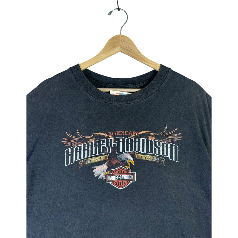 Vintage Harley Davidson T-Shirt