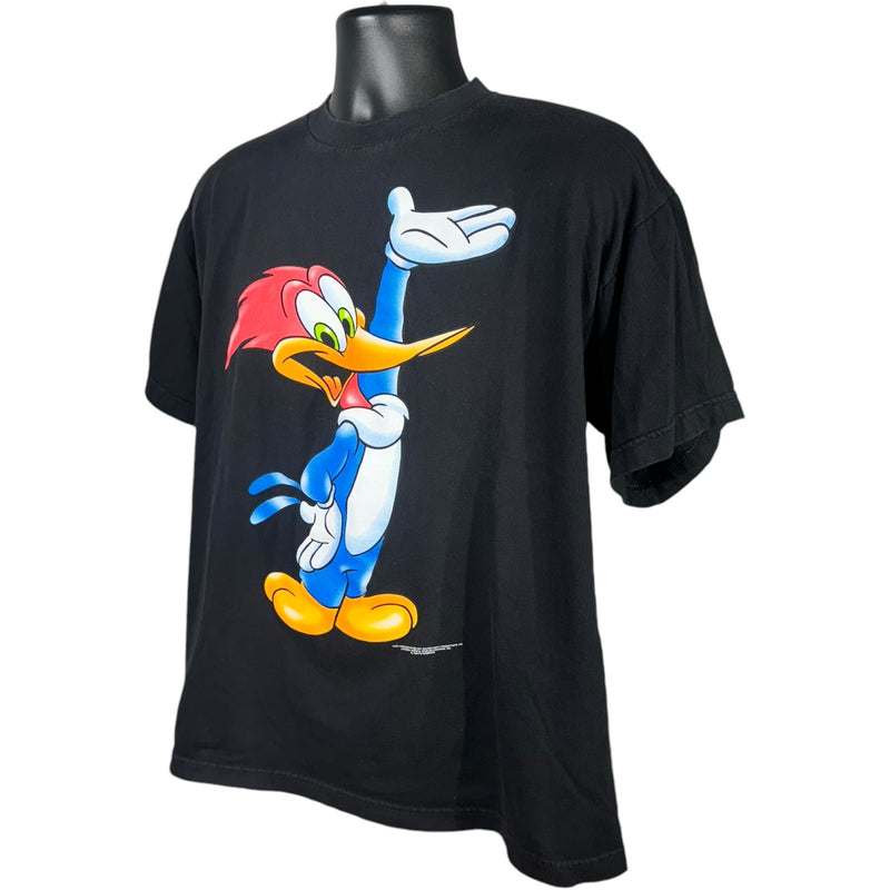 Vintage Looney Tunes Woody Woodpecker Tee 90s