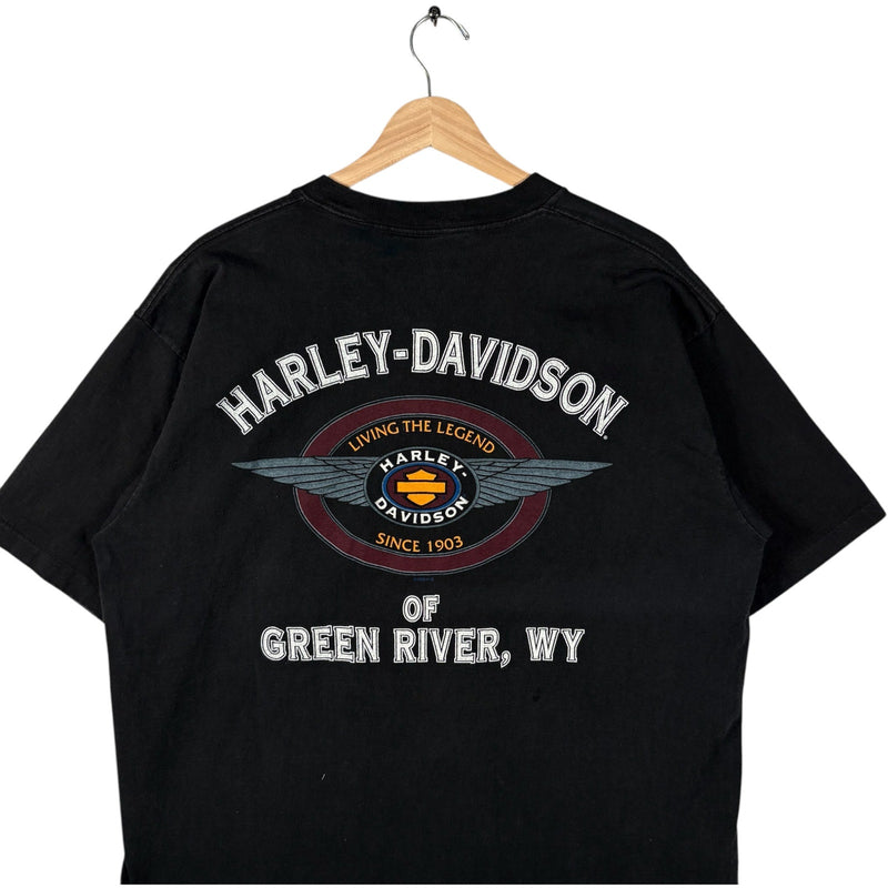 Vintage Harley Davidson "Domination" Green River Wyoming Tee