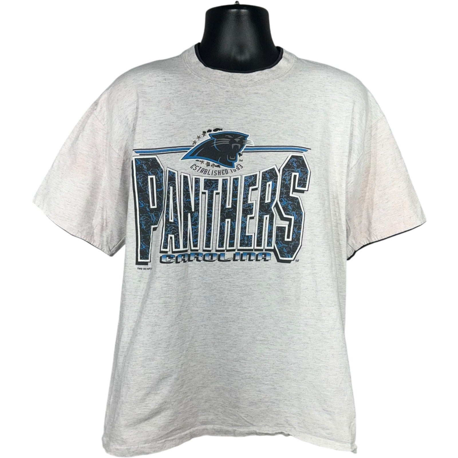 Vintage Carolina Panthers Spellout NFL Tee