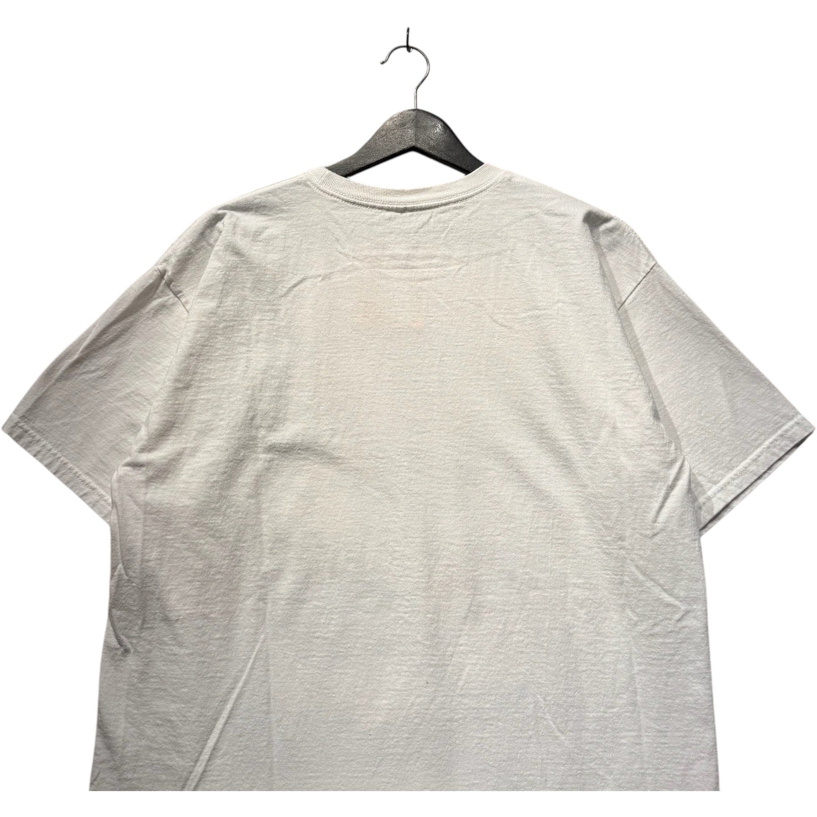 NASCAR Dale Earnhardt Jr. Tee