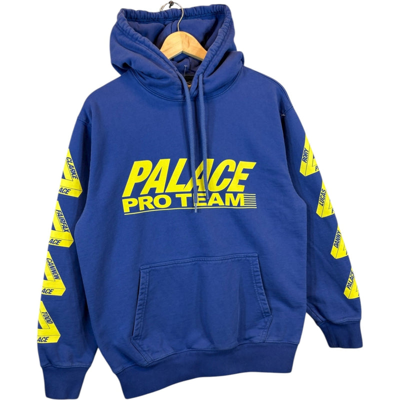 Vintage Palace Pro Team Pullover Drawstring Hoodie