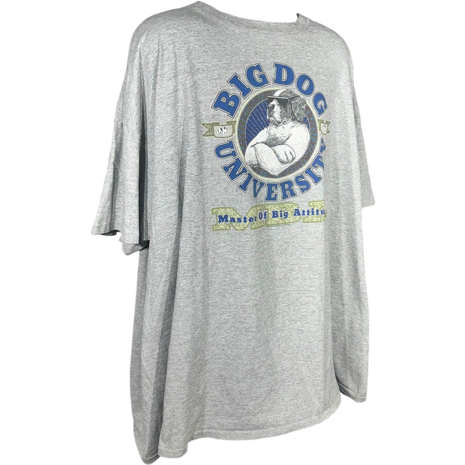 Vintage Big Dog University Tee