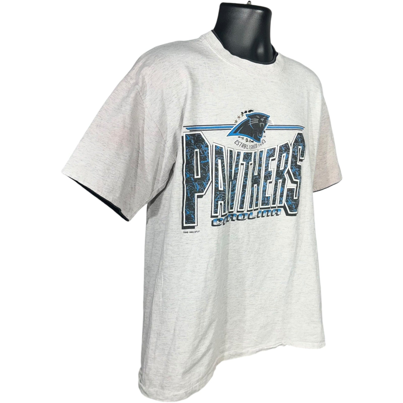 Vintage Carolina Panthers Spellout NFL Tee