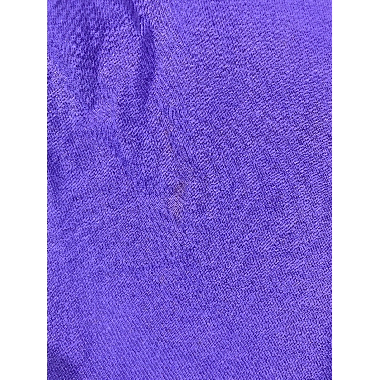 Vintage Splendid China Florida Tiger T-Shirt