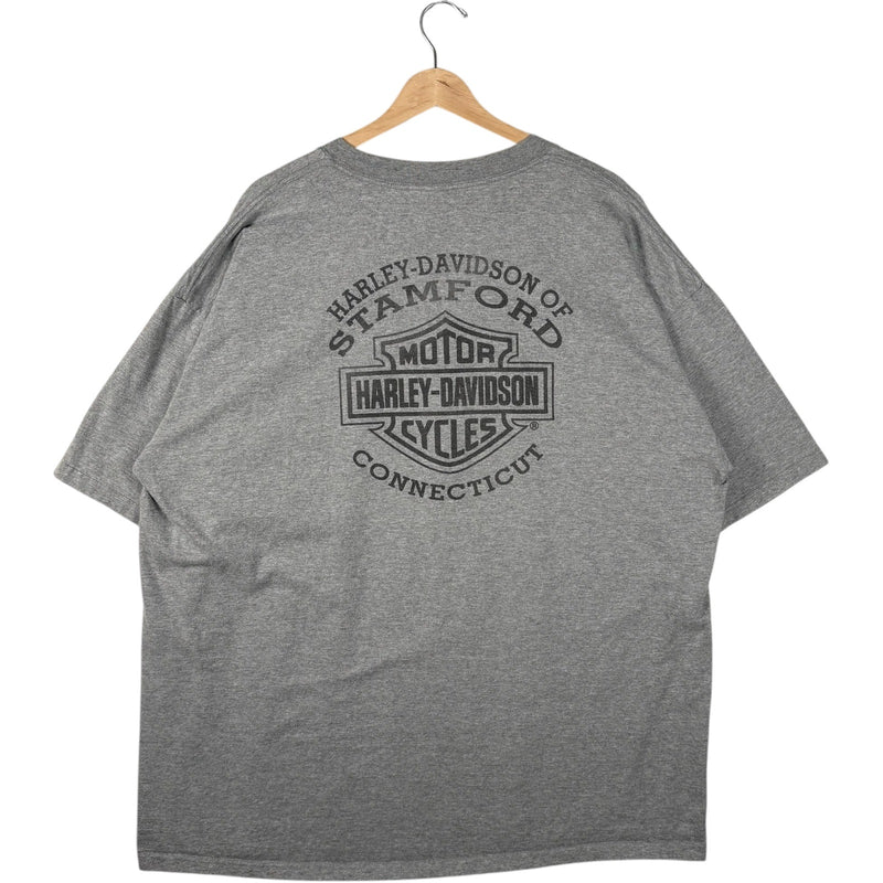 Vintage Harley Davidson Reflection Logo Tee