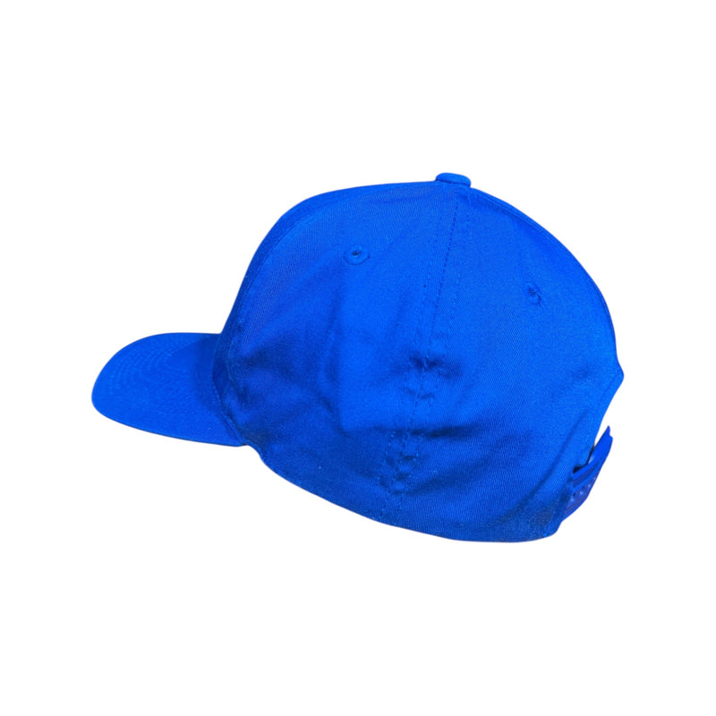 Vintage Toronto Blue Jays MLB Snapback Hat OS