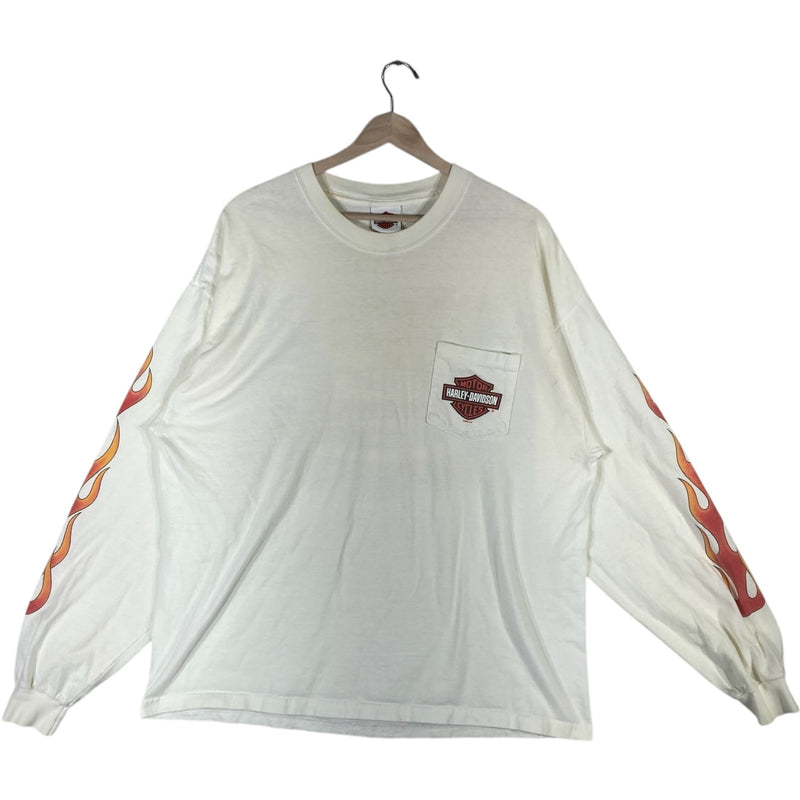 Vintage Harley Davidson Newcastle, DE Flaming Long Sleeve