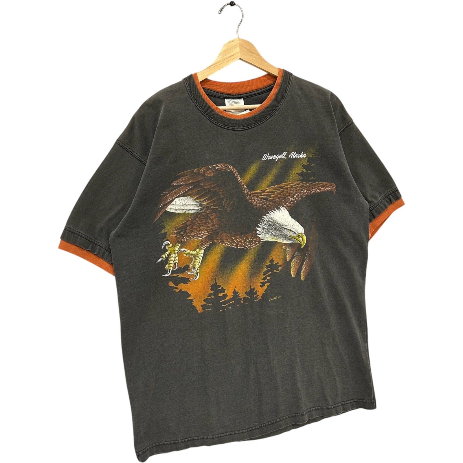 Vintage Wrangell Alaska Bald Eagle Nature Souvenir Tee