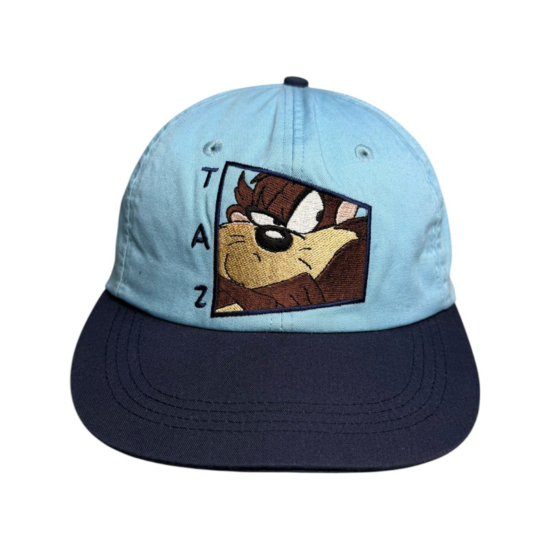 Vintage Taz Tasmanian Devil Looney Tunes Embroidered Dad Hat