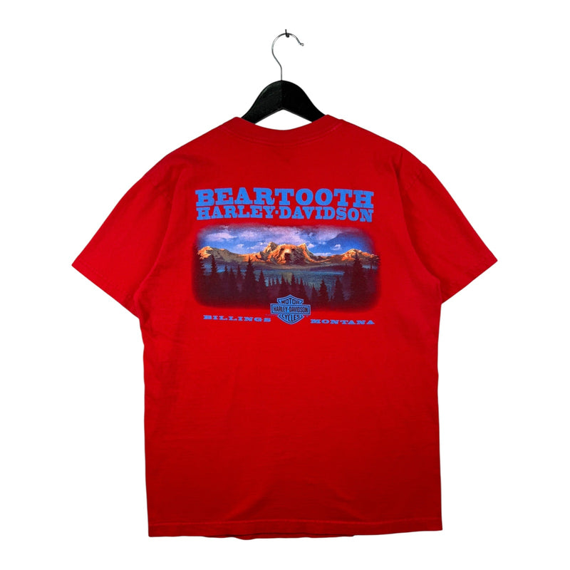 Vintage Harley Davidson Beartooth Bilings Monatana T-Shirt