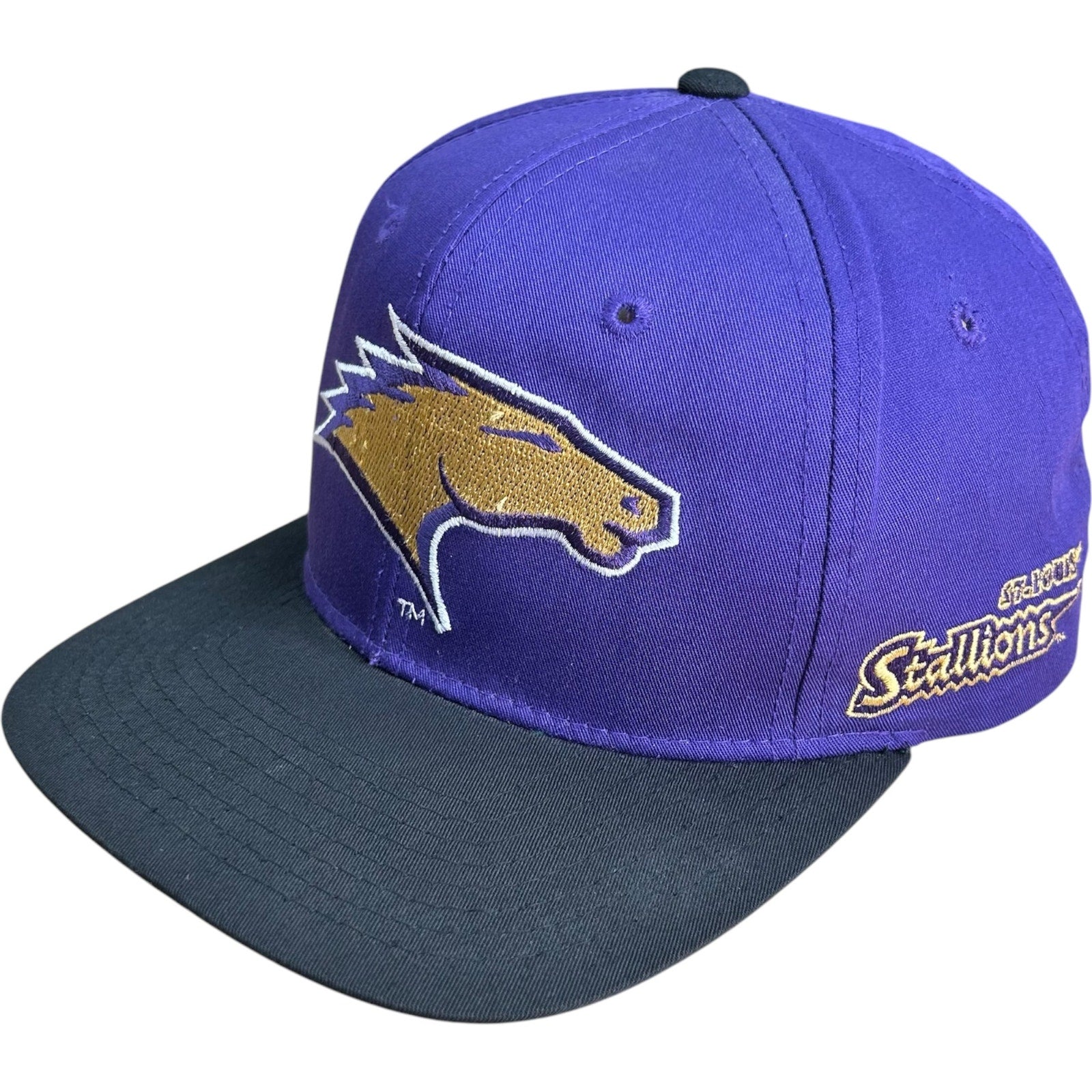 Vintage Starter St. Louis Stallions Logo NFL Snapback Hat