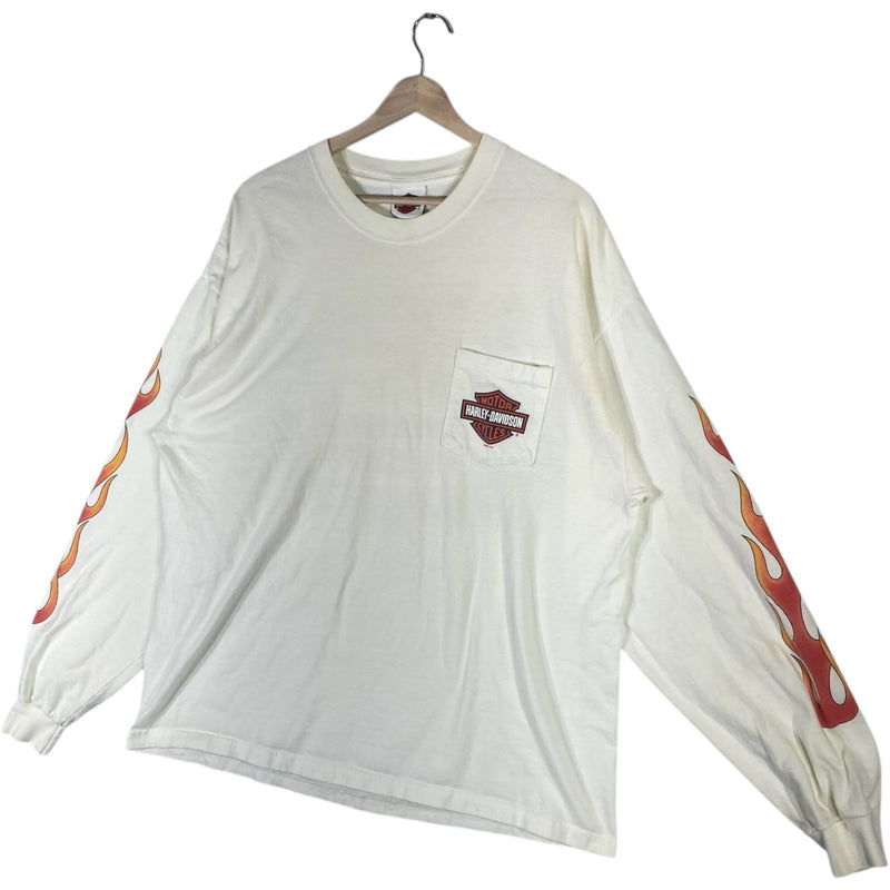 Vintage Harley Davidson Newcastle, DE Flaming Long Sleeve
