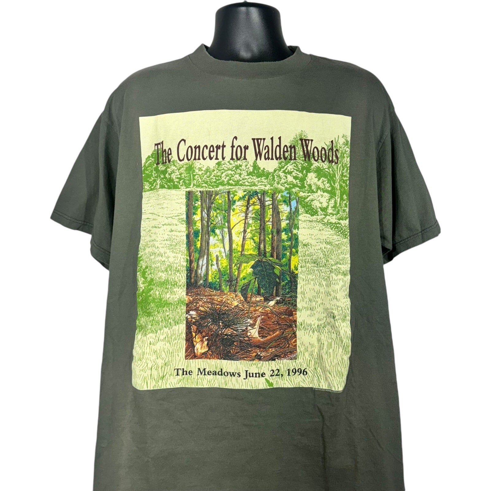 Vintage Eagles "The Concert For Walden Woods" Concert Tee