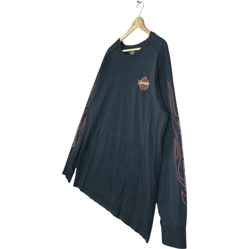 Vintage Harley Davidson Flame Sleeve Graphic Long Sleeve
