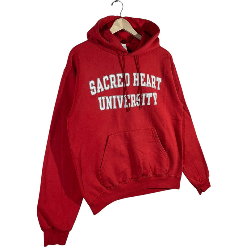 Vintage Sacred Heart University Champion Hoodie