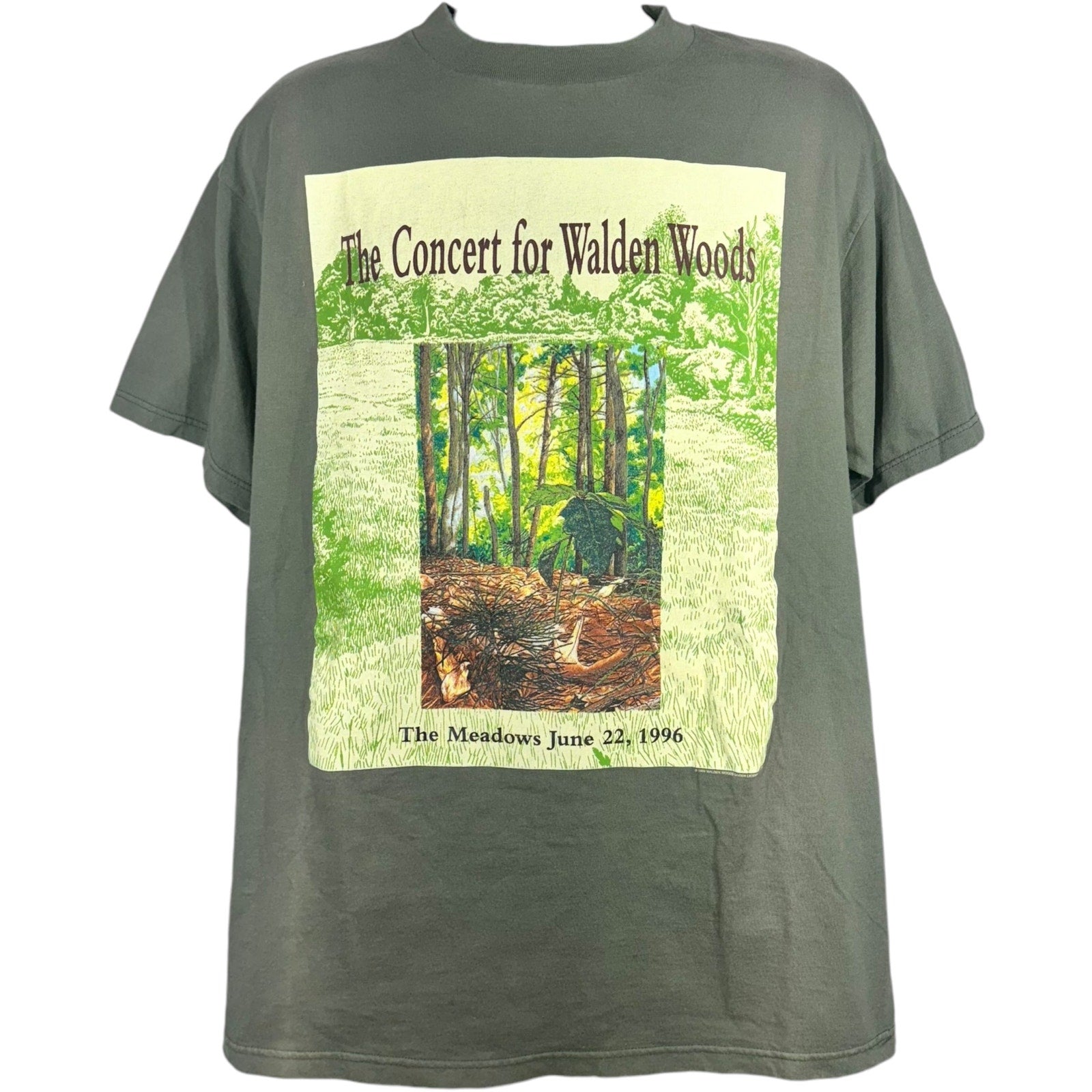 Vintage Eagles "The Concert For Walden Woods" Concert Tee