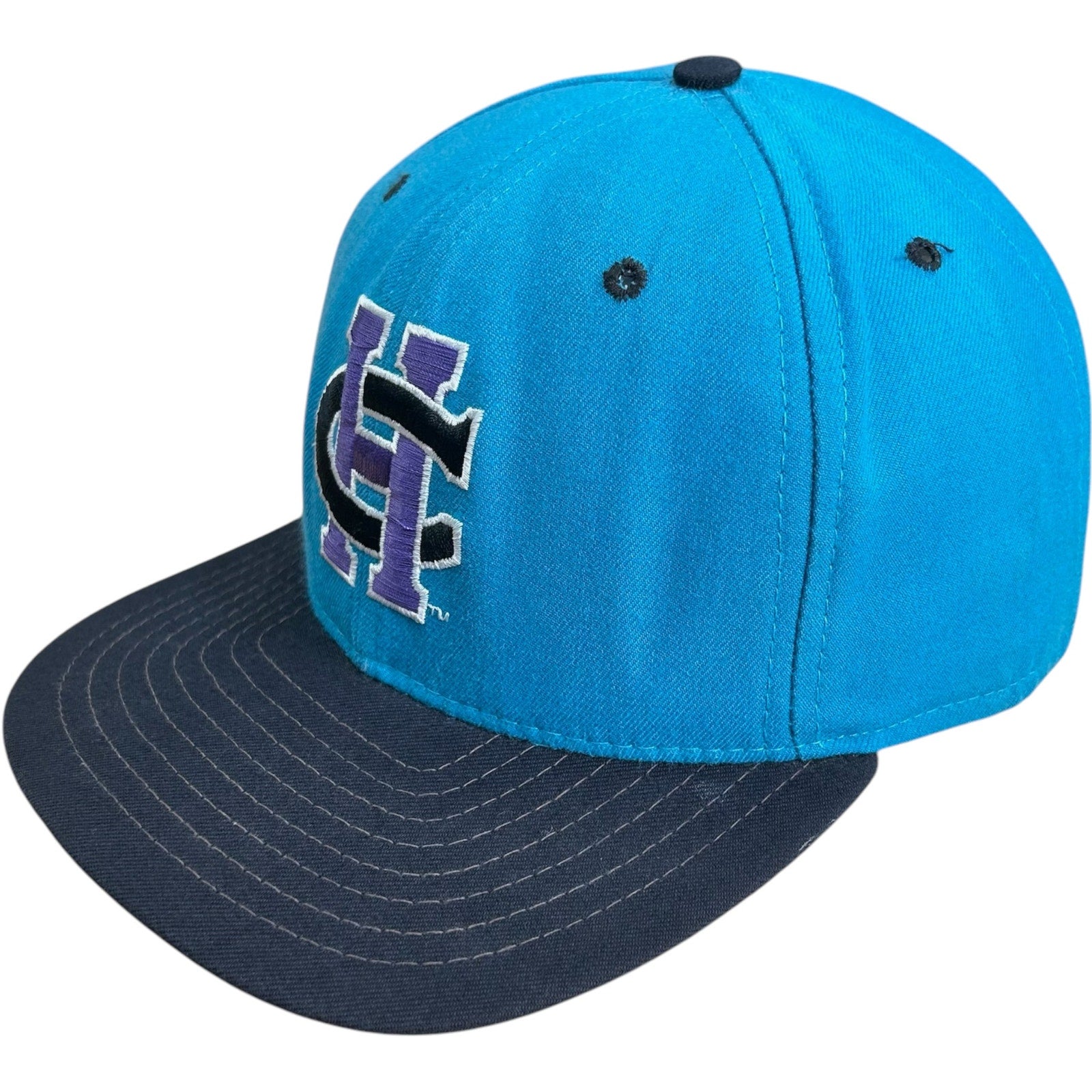 Vintage Charlotte Hornets NBA Snapback Hat