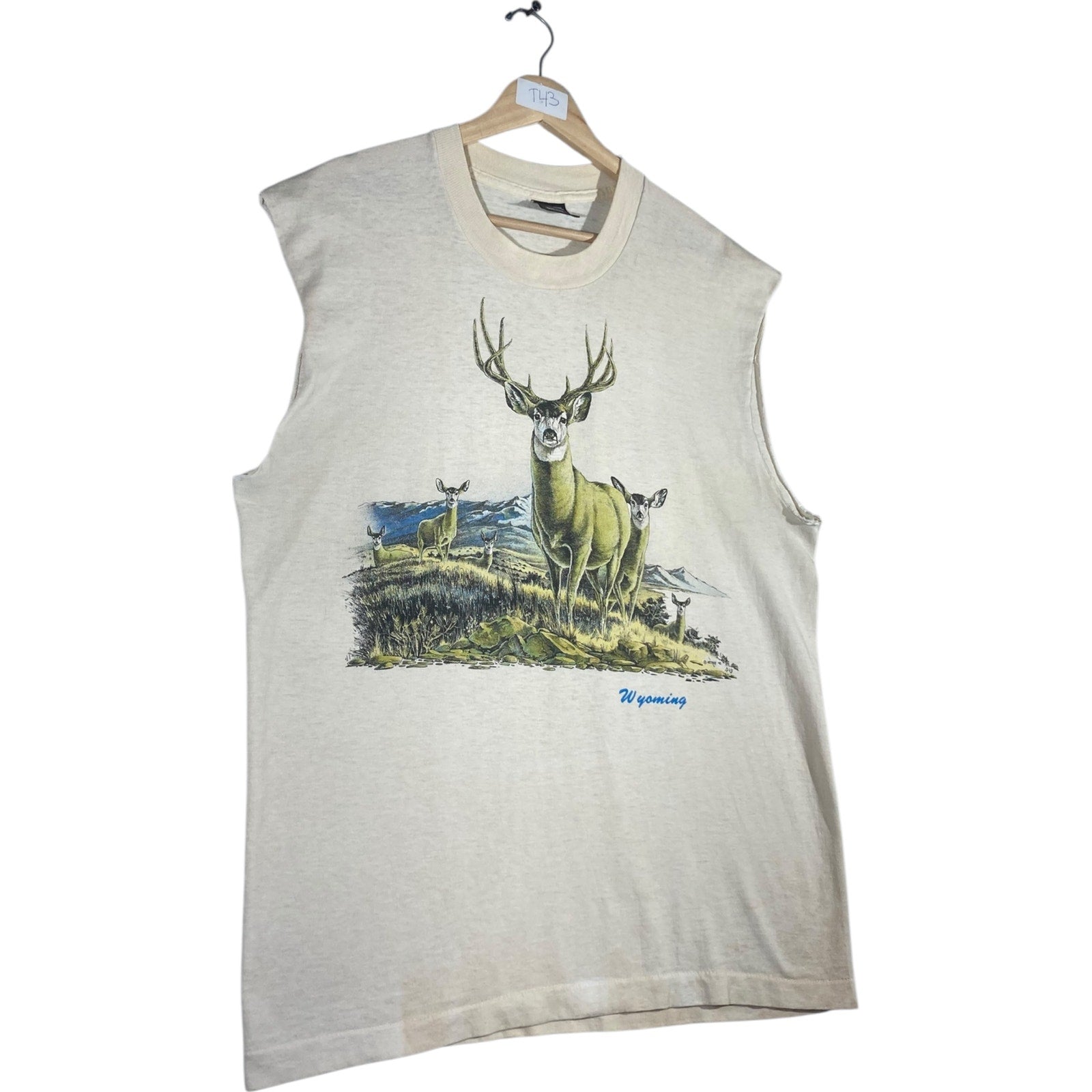 Vintage Fruit of the Loom Muscle Sleeves Tank Top