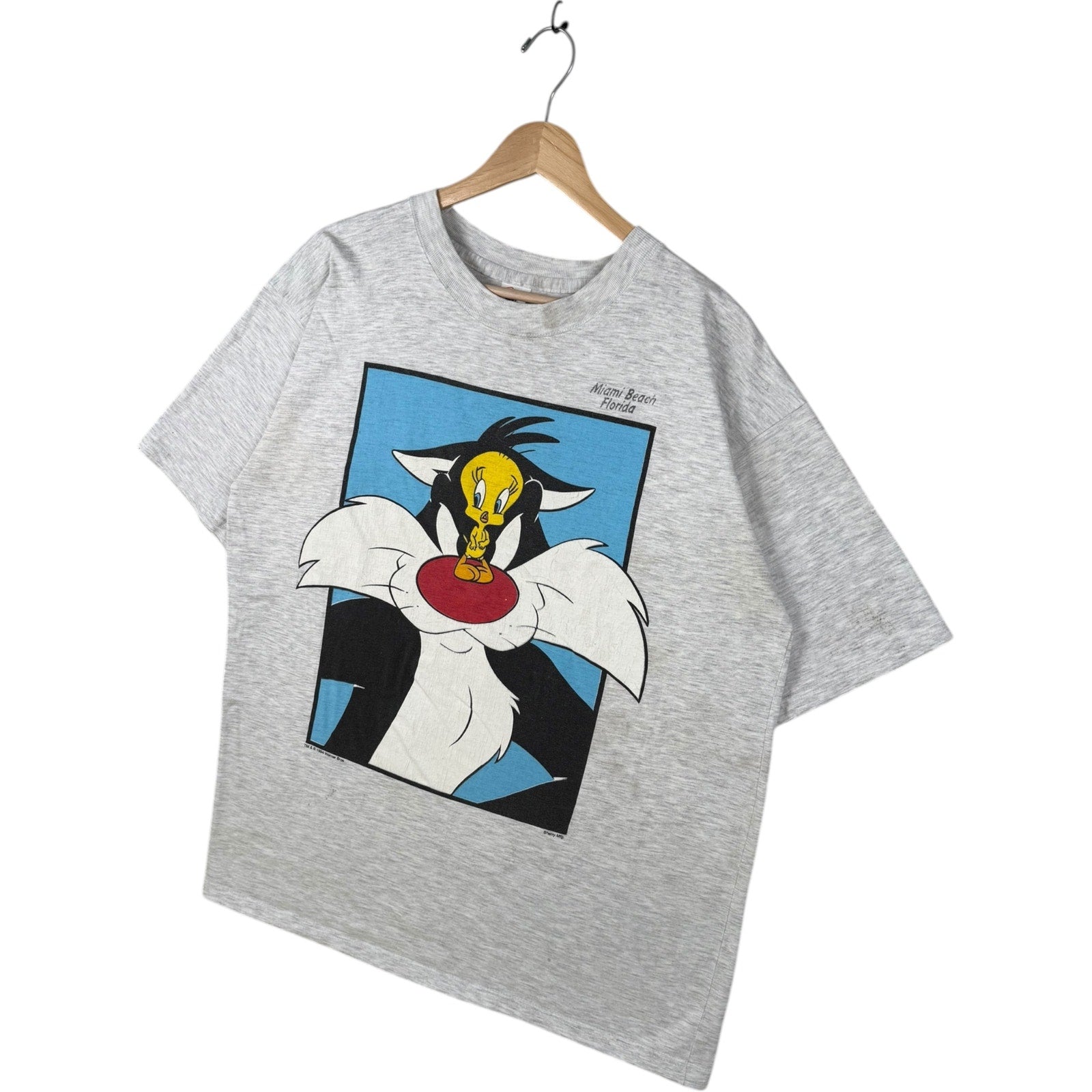 Vintage Looney Tunes Sylvester and Tweety Miami Beach T-Shirt