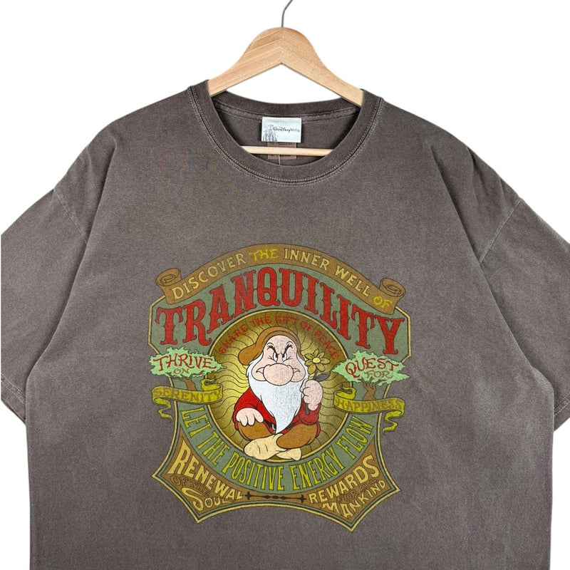 Vintage Disney Grumpy Tranquility Graphic T-Shirt