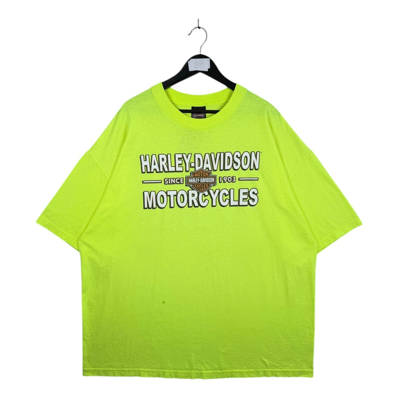 Vintage Harley Davidson Gateway T-Shirt