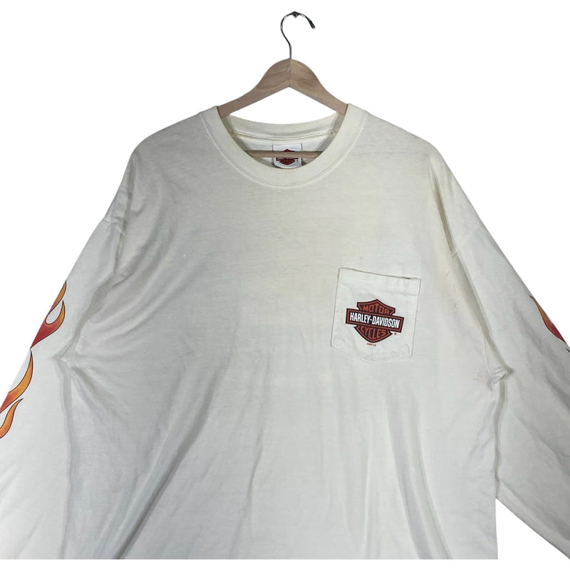 Vintage Harley Davidson Newcastle, DE Flaming Long Sleeve