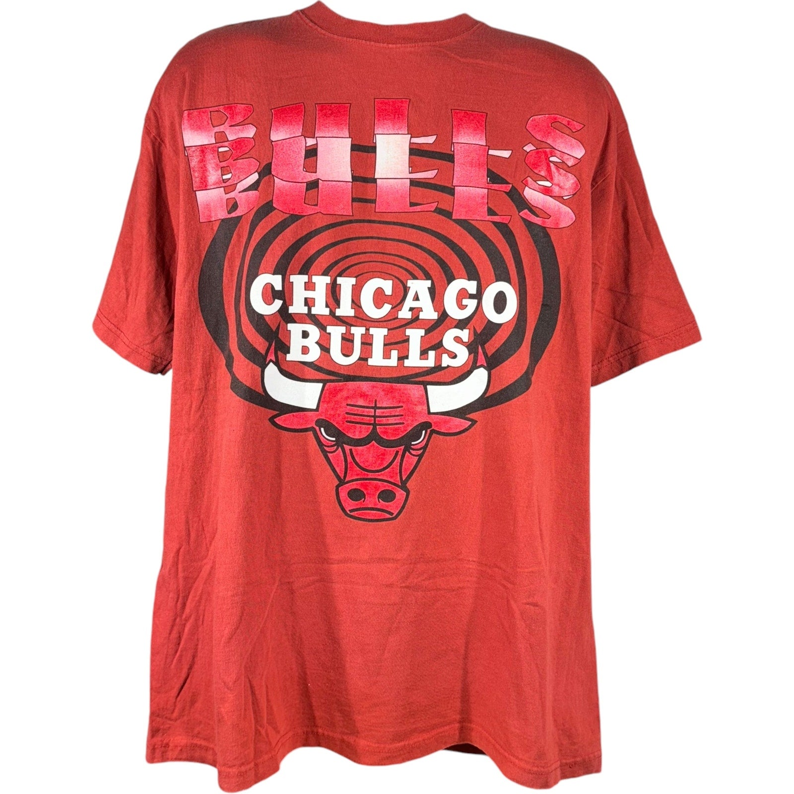 Vintage Chicago Bulls NBA Tee 90's