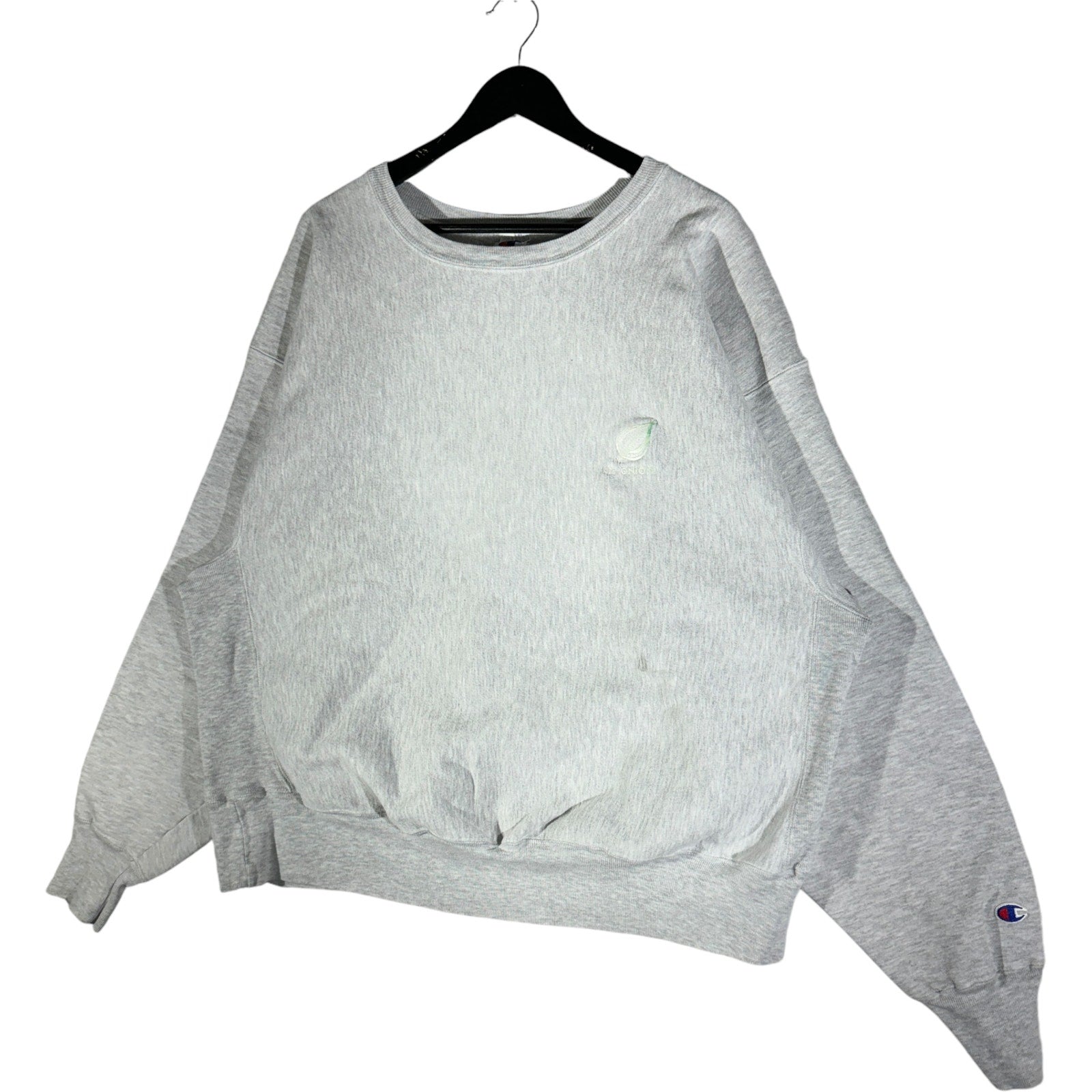 Vintage Champion Reverse Weave The Onion Company Crewneck