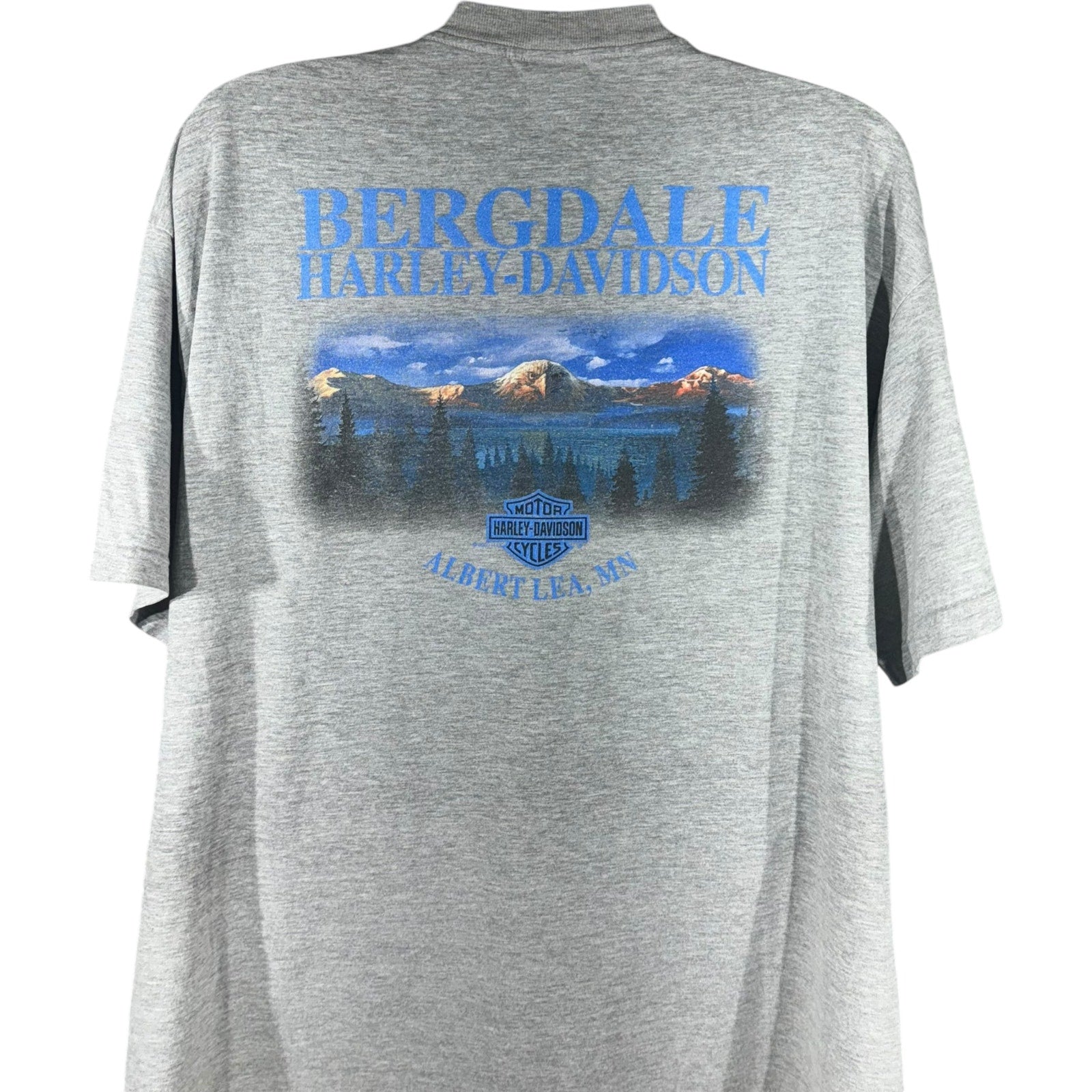 Vintage Harley Davidson Bergdale Tee