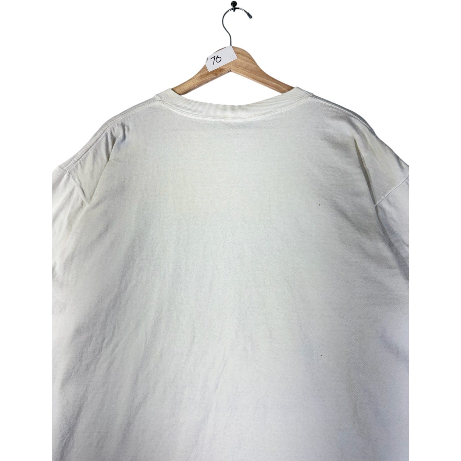 Vintage I Survived Alpengeist Busch Gardens 90s T-Shirt