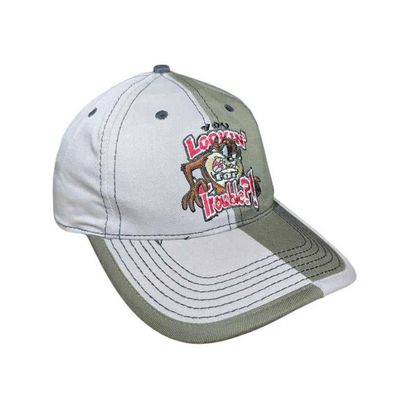 Vintage Looney Tunes Taz Tasmanian Colorblock Snapback Hat
