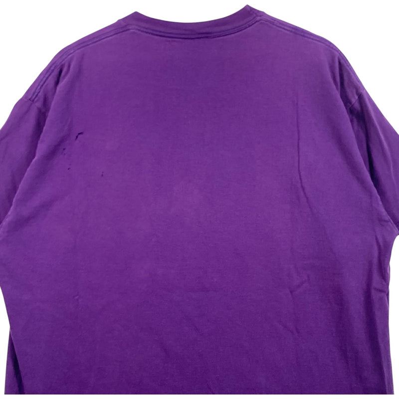 Vintage University Of Washington Huskies National Champions Tee 1991