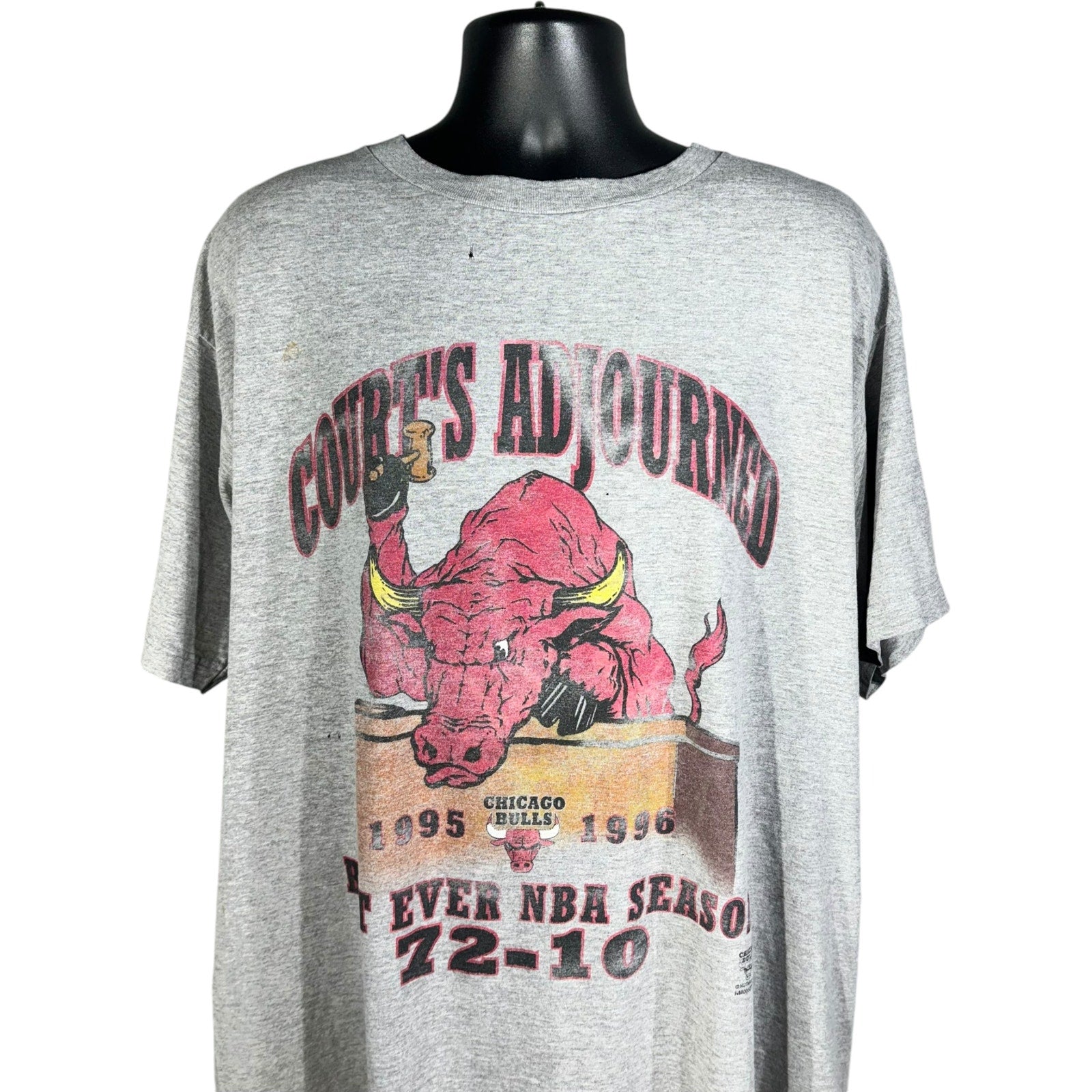 Vintage Chicago Bulls Courts Adjourned Tee 90s