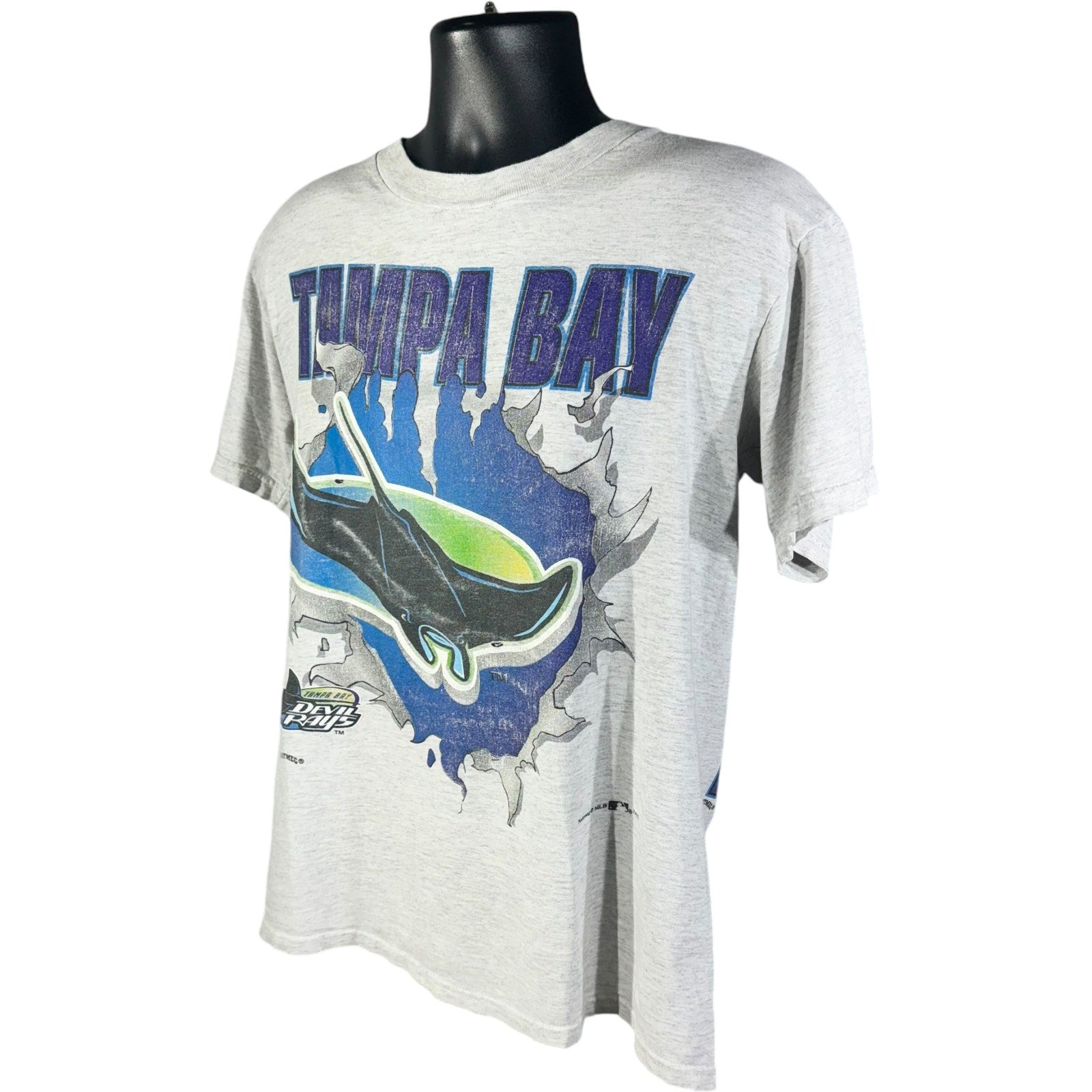 Vintage Nutmeg Tampa Bay Devil Rays MLB Tee