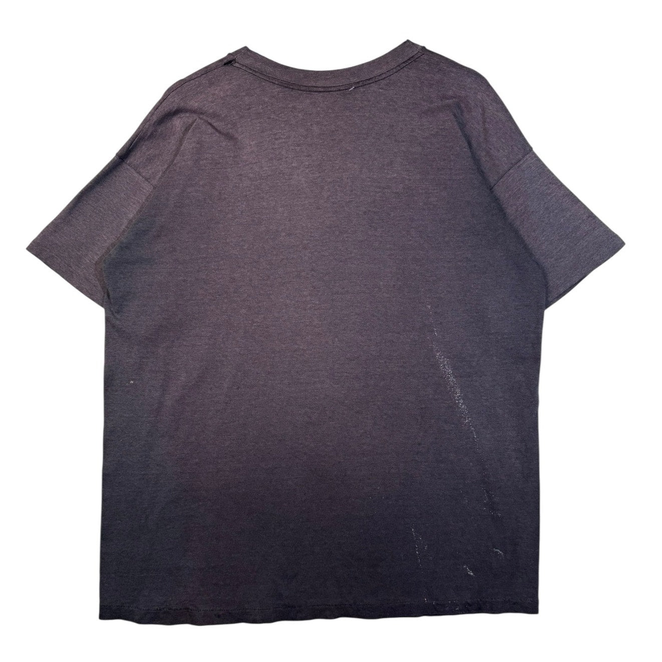 Vintage Waterton Lakes Canada Graphic T-Shirt